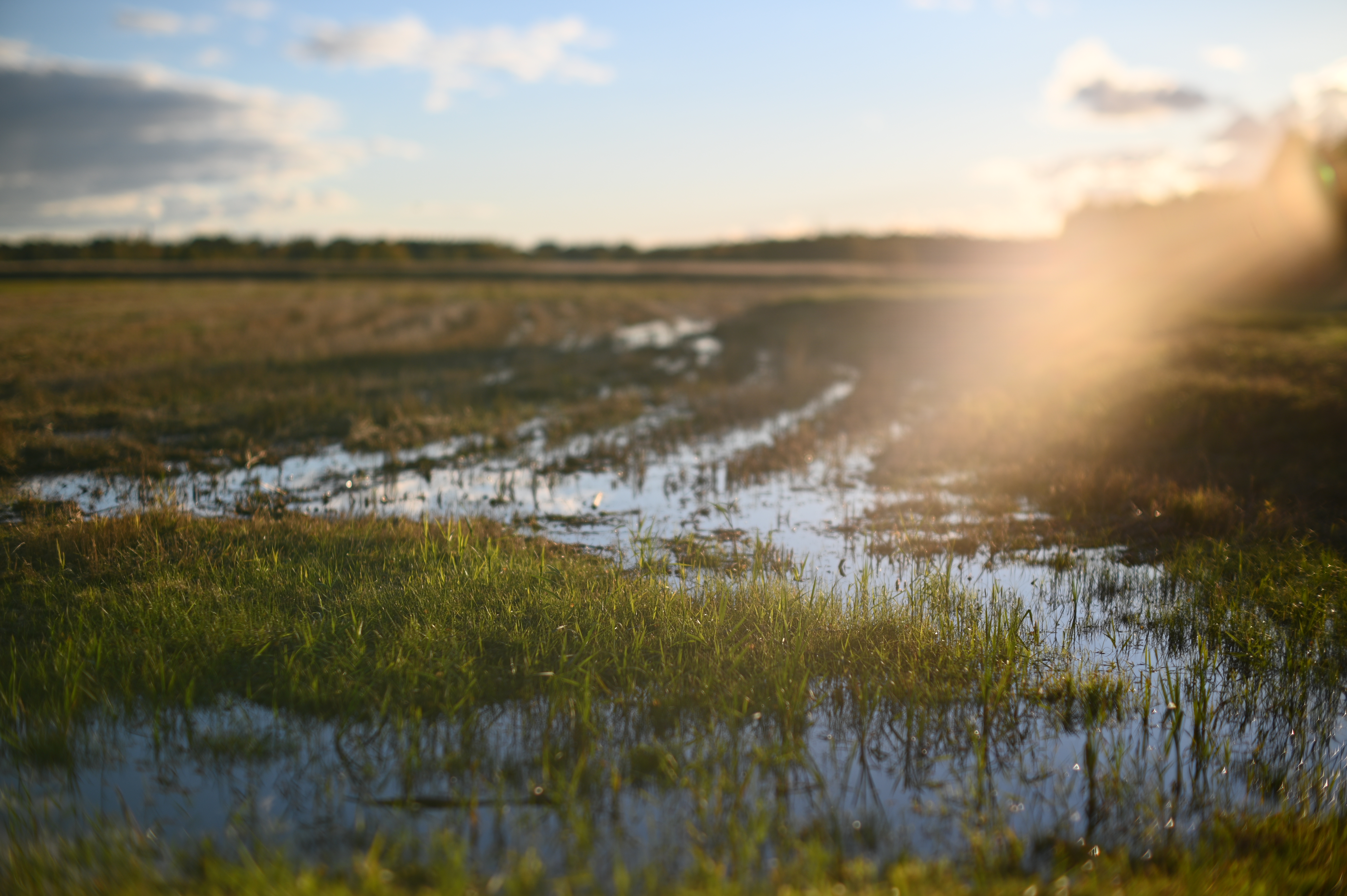 2025/10/18 - walk/DSC_0191.JPG